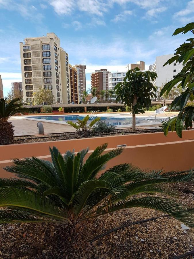Fabuloso Apartamento En Apartament Benidorm